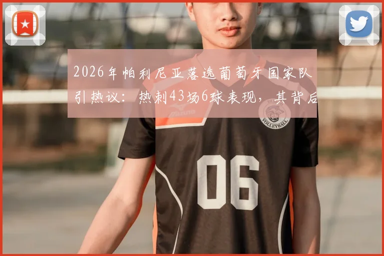 2026年帕利尼亚落选葡萄牙国家队引热议:热刺43场6球表现,其背后原因与未来前景深度探讨