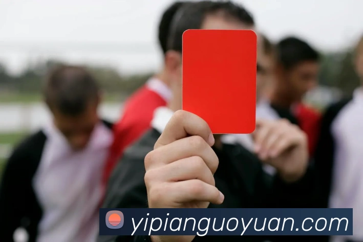 App 展示图