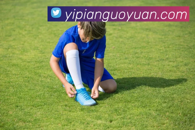 完美体育APP 封面图